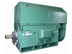 工农Y系列6KV高压电机